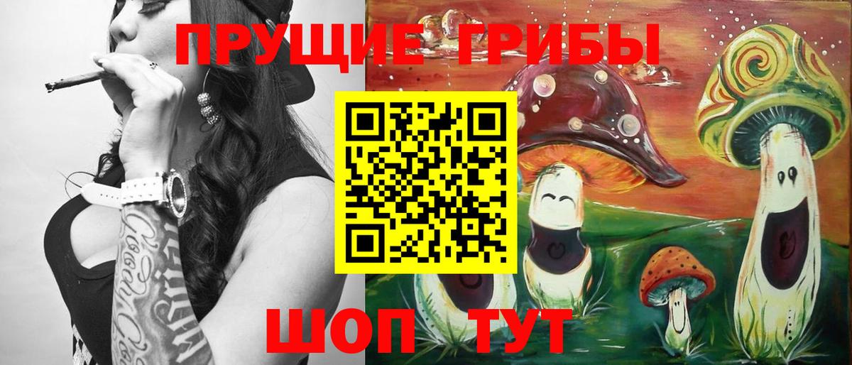 Жигулёвск  Псилоцибиновые грибы MAGIC MUSHROOMS  Вход с VPN 