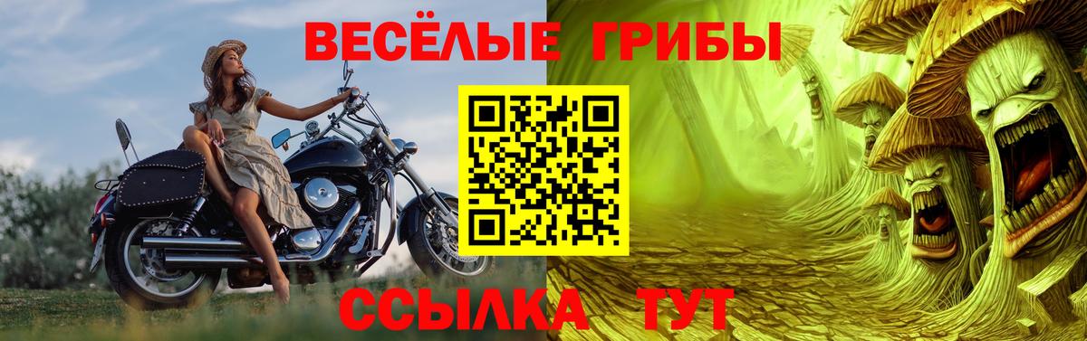 Галлюциногенные грибы MAGIC MUSHROOMS Жигулёвск